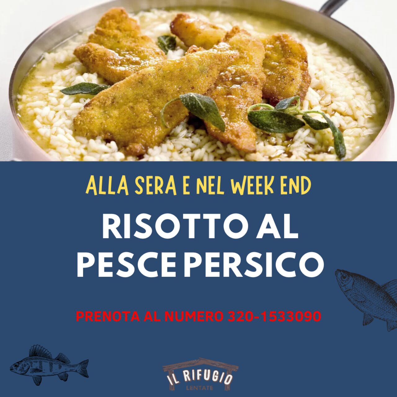 RISOTTO CON PESCE PERSICO