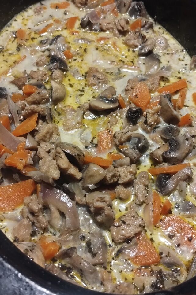 blanquette de protéines de soja 