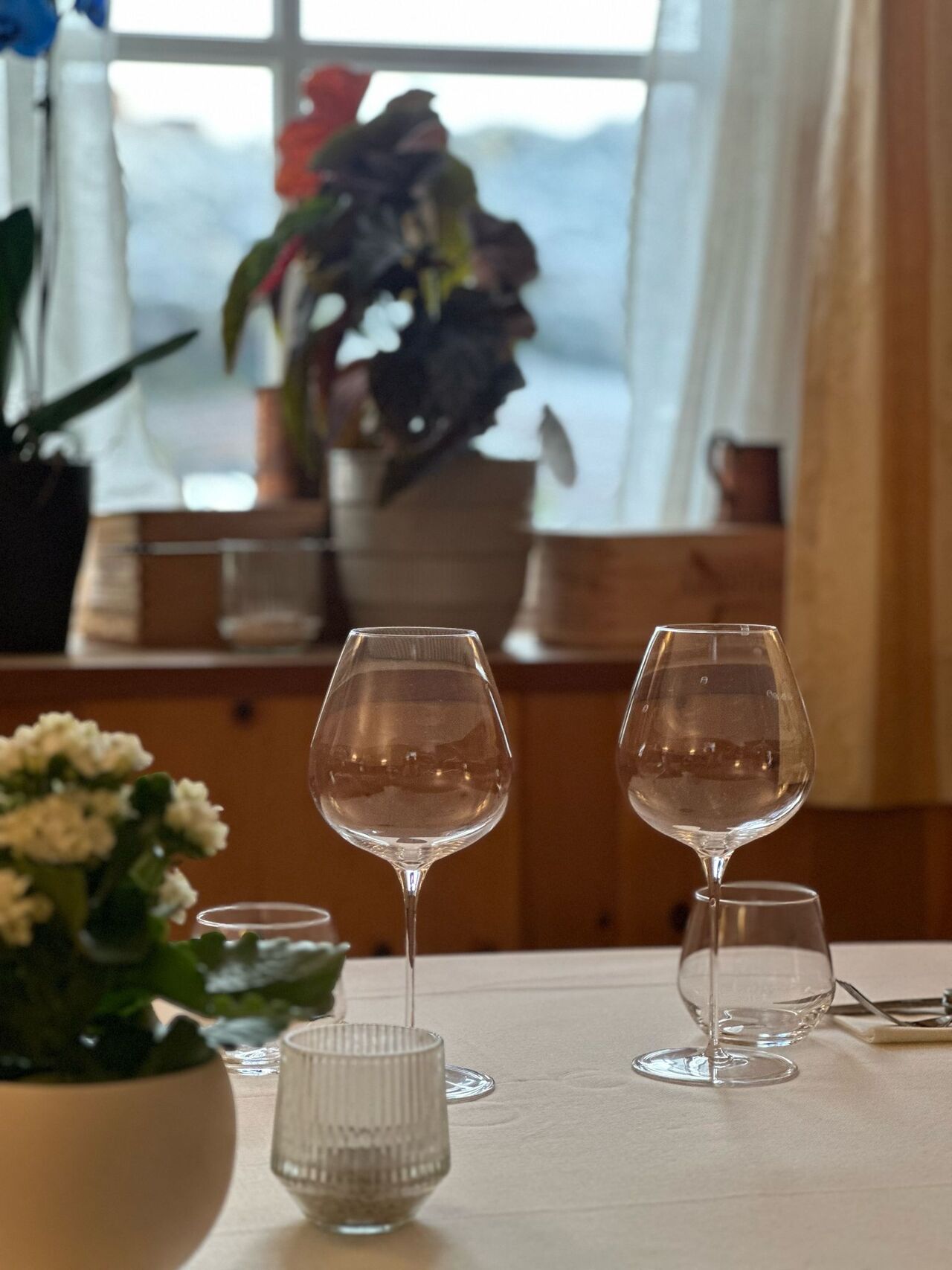 🍷 Vini & Abbinamenti