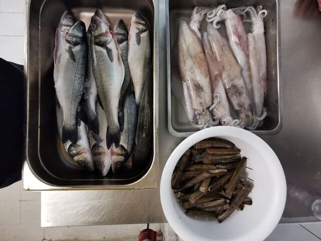 Spicola , Calamari , Cannocchie 