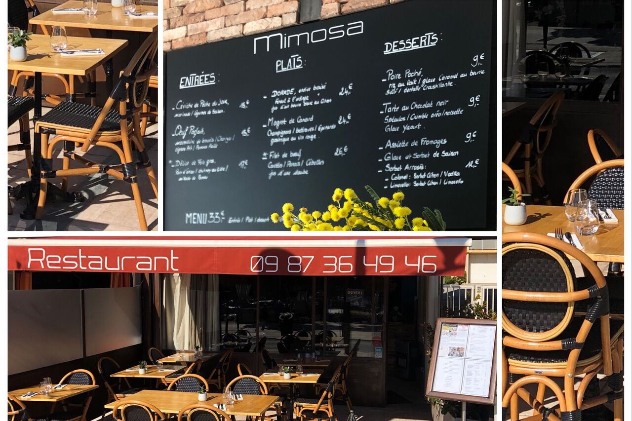 L'Histoire de Mimosa