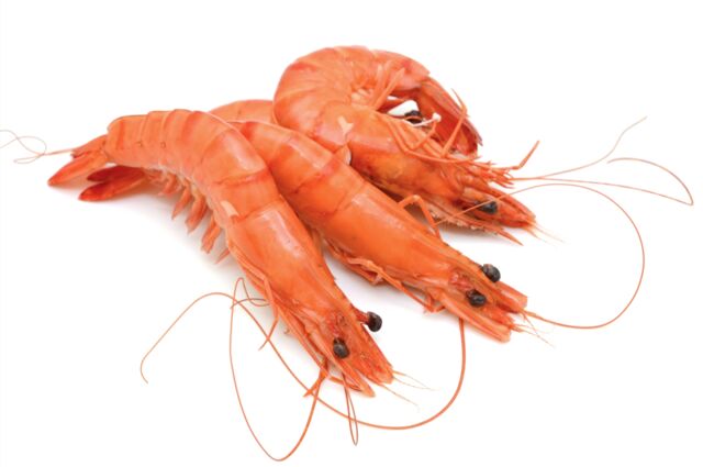 - Crevettes de Madagascar Label Rouge : le seul label avec objectif de résultat gustatif