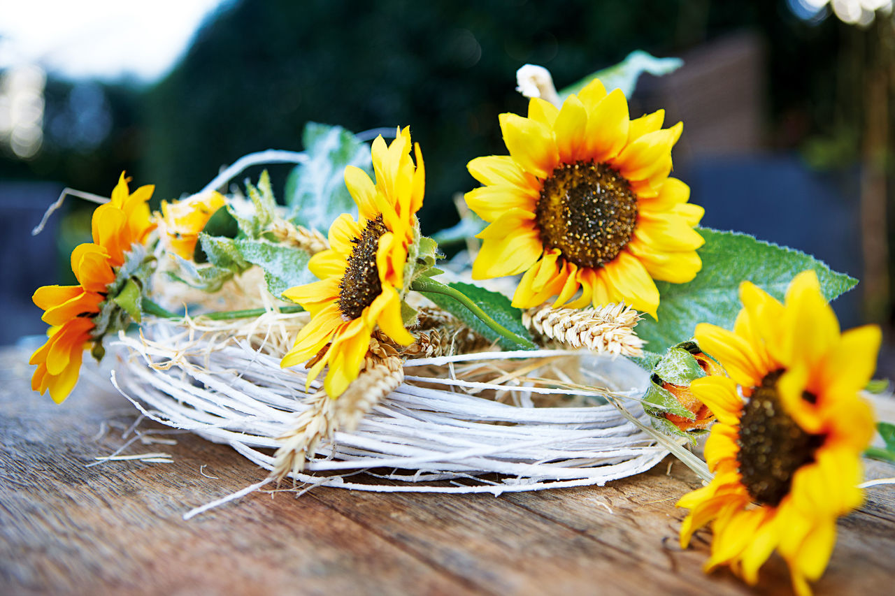 Professionelle Hilfe