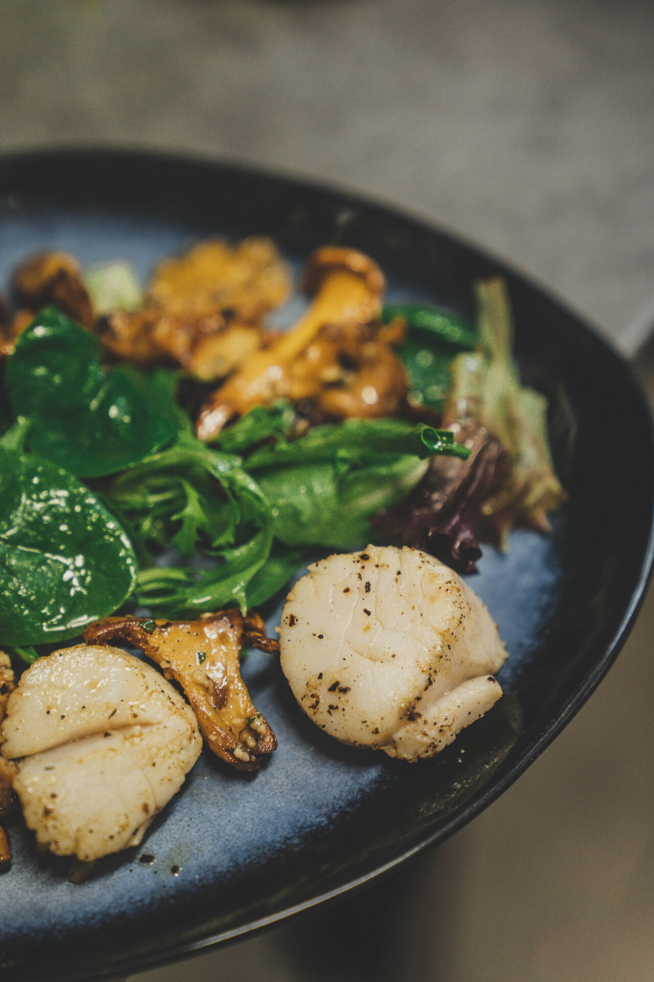 st-jacques aux girolles