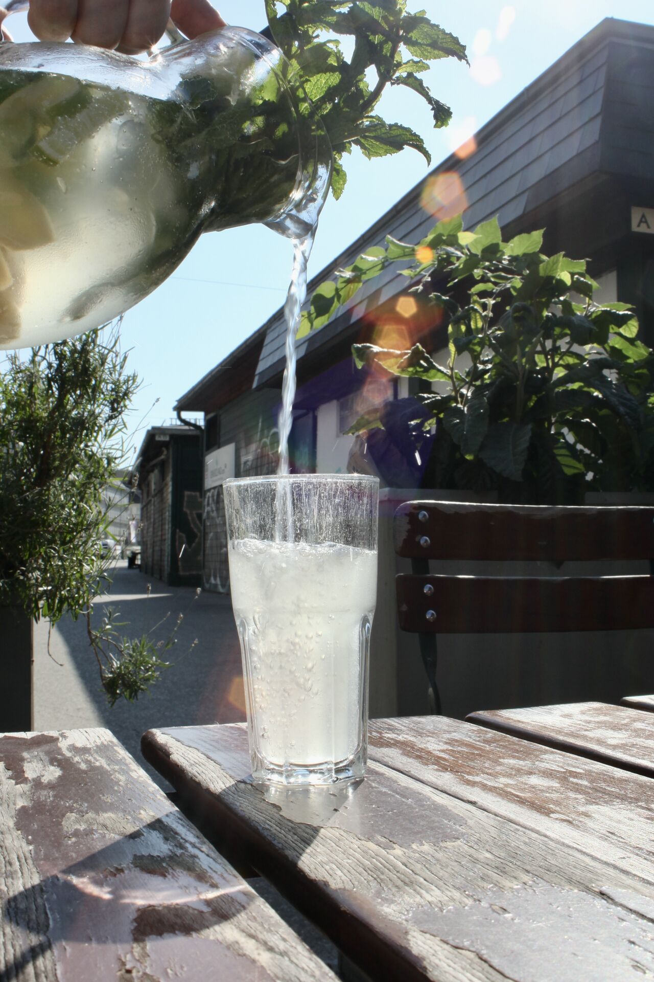 Homemade Lemonade