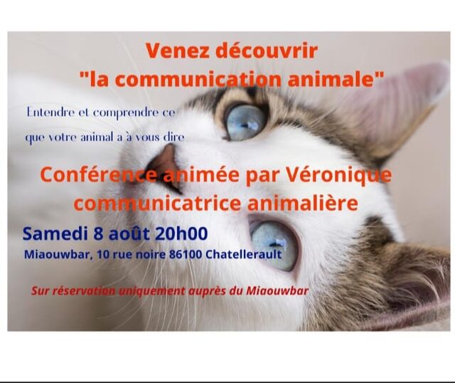 soirée à thème du samedi 8/8/2020 par Véronique 