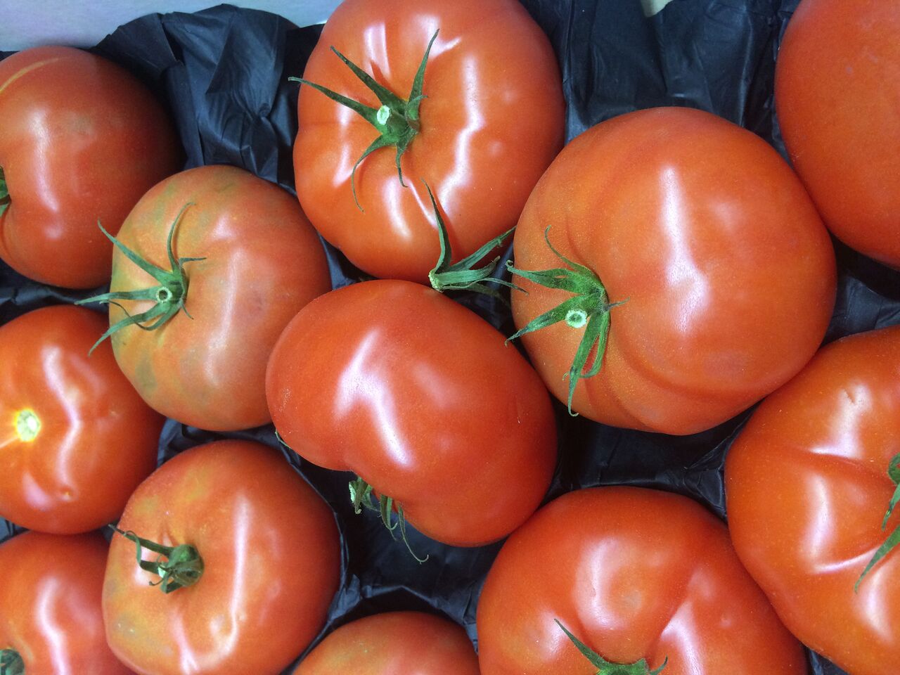 Une gamme de tomates très diversifié 