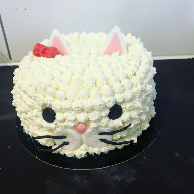 Cake design chat