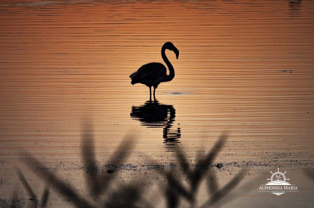 De la vie autour de la péniche 