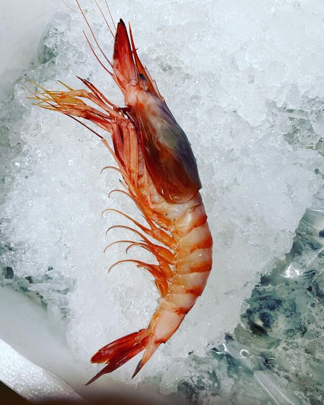 La nostra materia prima 