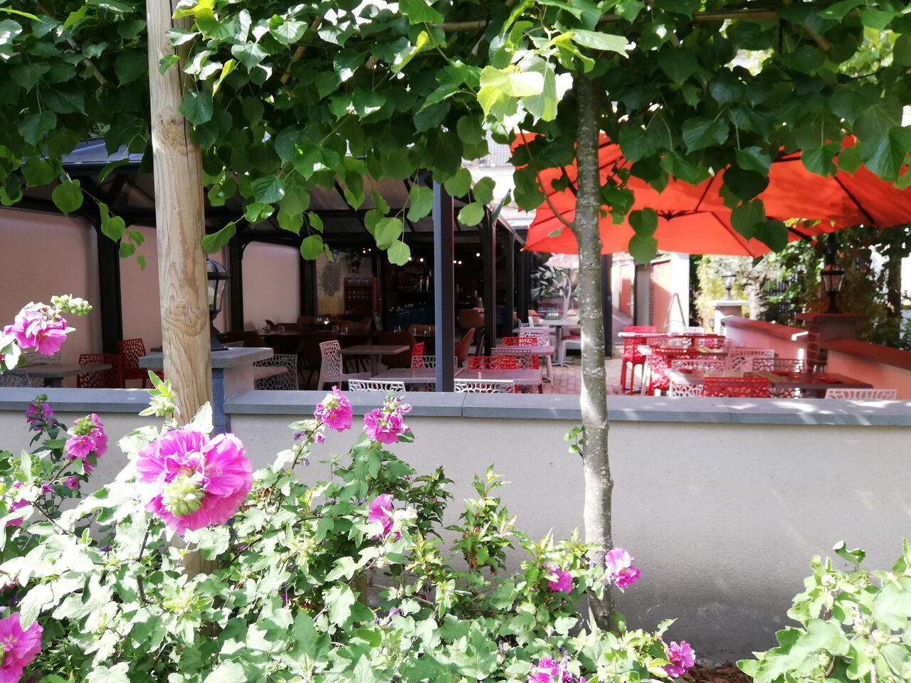 TERRASSE vue du JARDIN