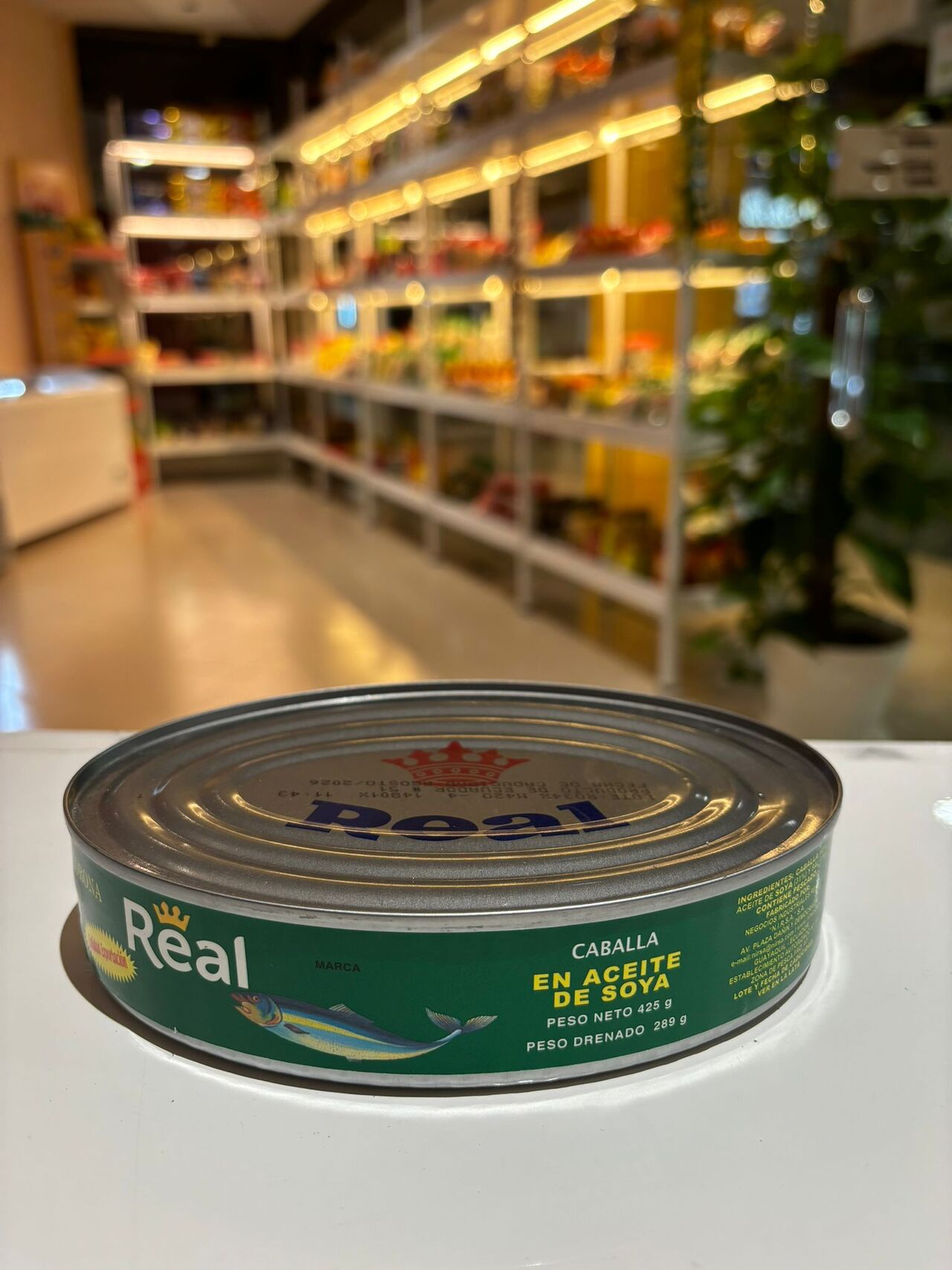 CABALLA EN ACEITE DE SOYA 