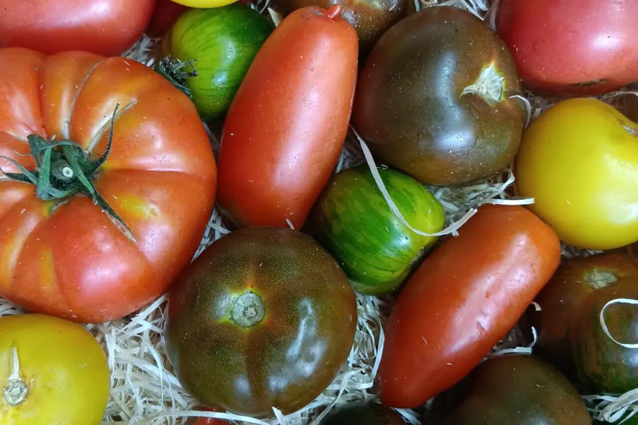 Fruit & Légumes bio, circuit court et local