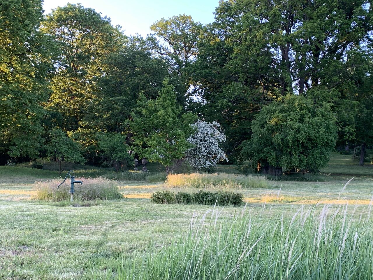Südlicher Park - um 1850 im Stil eines englischen Landschaftsparks angelegt 