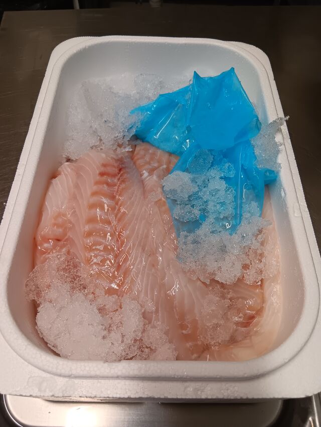 Poissons frais du jour