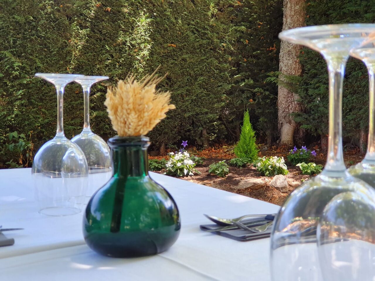 Jardin 2