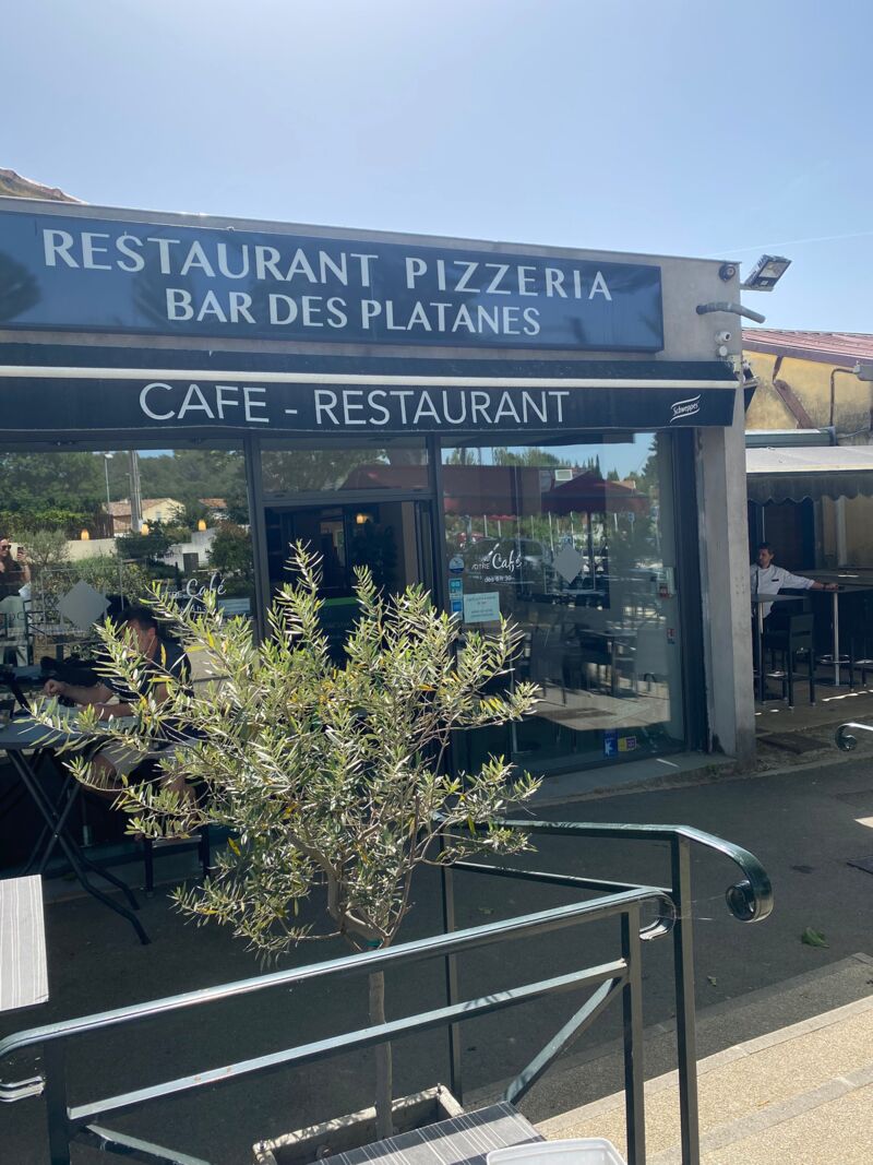 La Brasserie des Platanes