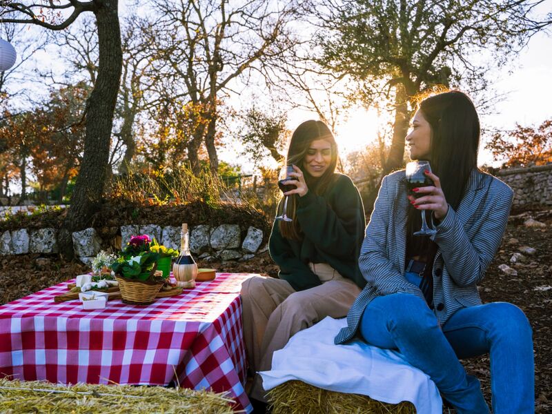 location panoramica immersa negli ulivi secolari Pugliesi