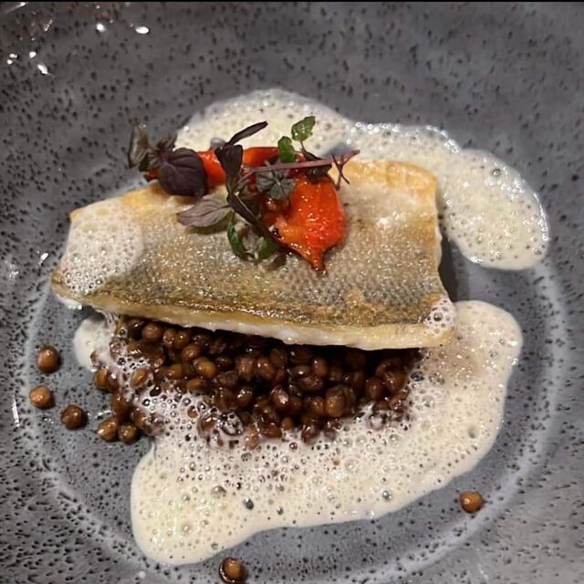 Zanderfilet / Belugalinsen / Trüffelschaum