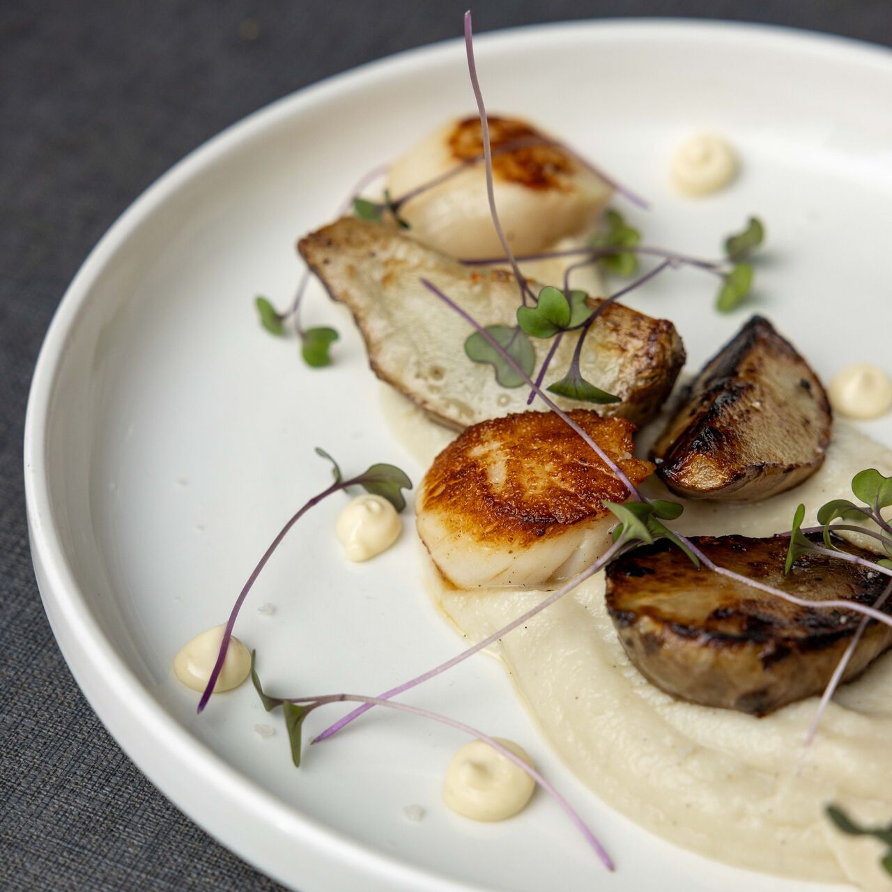 Noix de Saint-Jacques