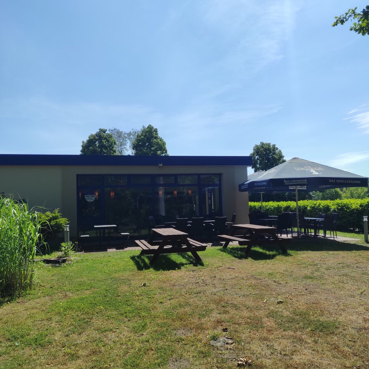 Natur Pur auf unserer kleinen aber feinen Sonnenterasse.