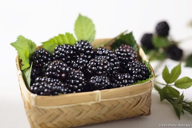 Mûre barquette - 125gr - 1,67€