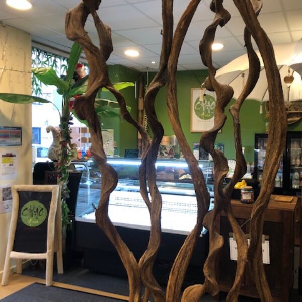 Derrière les racines, la vitrine aux trésors