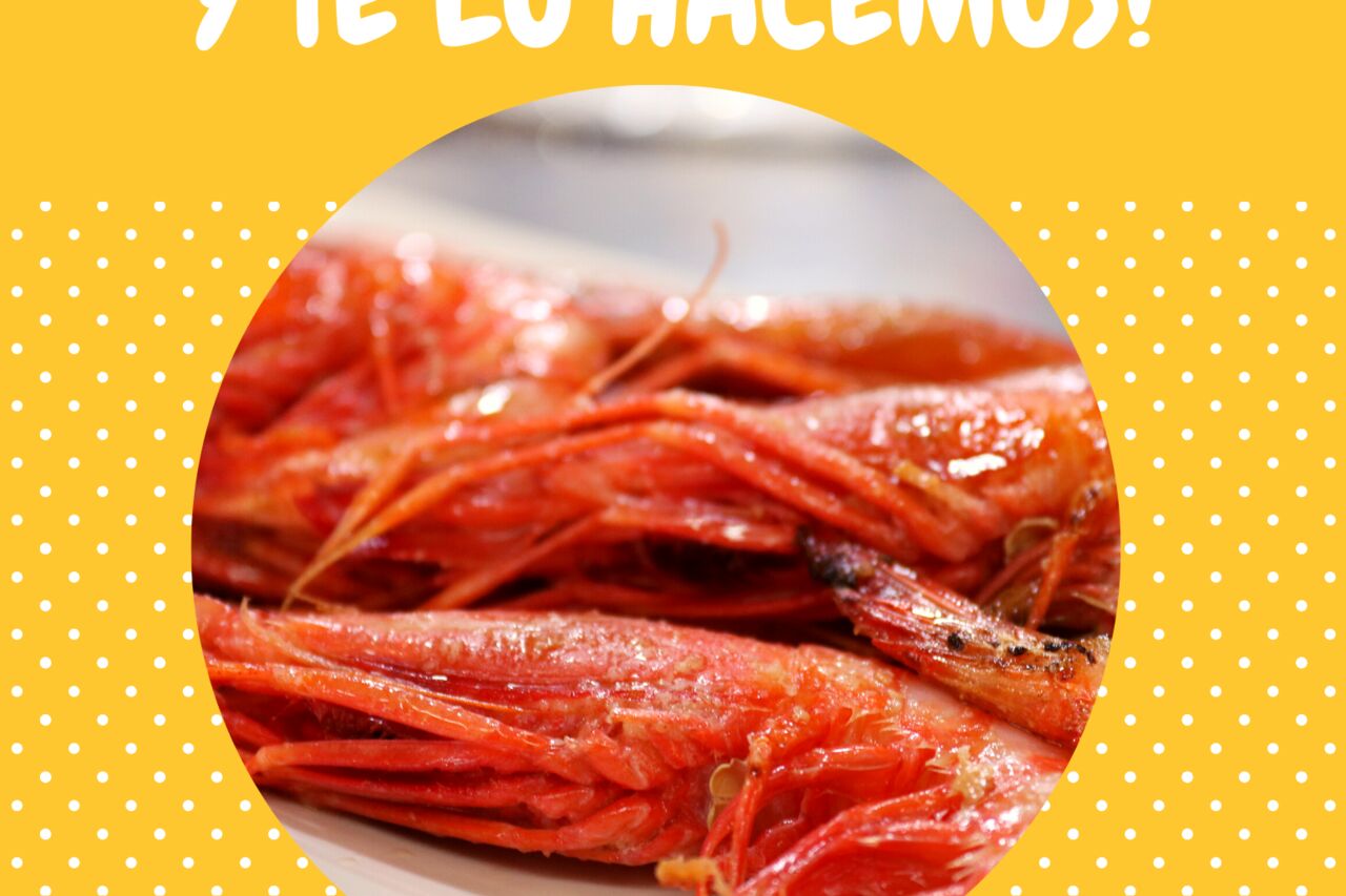 TRAE TU CARNE O PESCADO