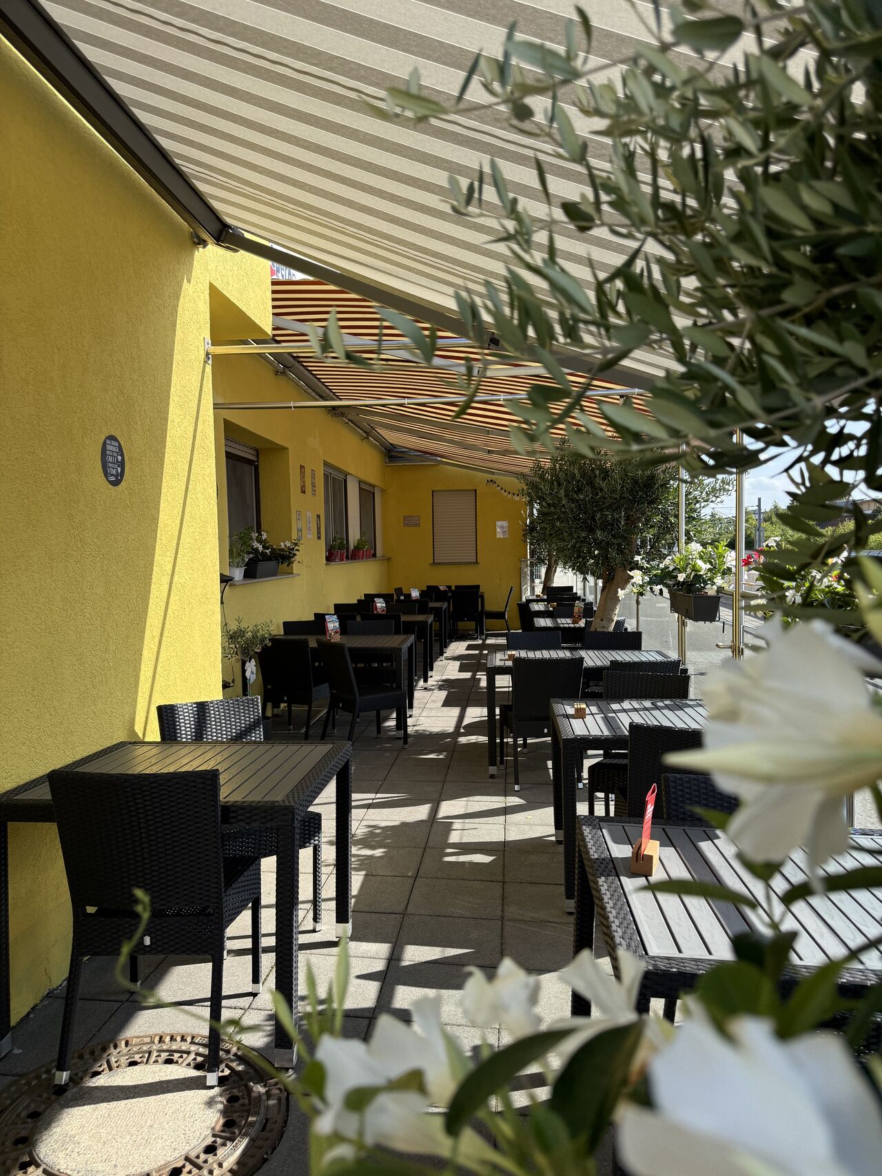 Terrasse 