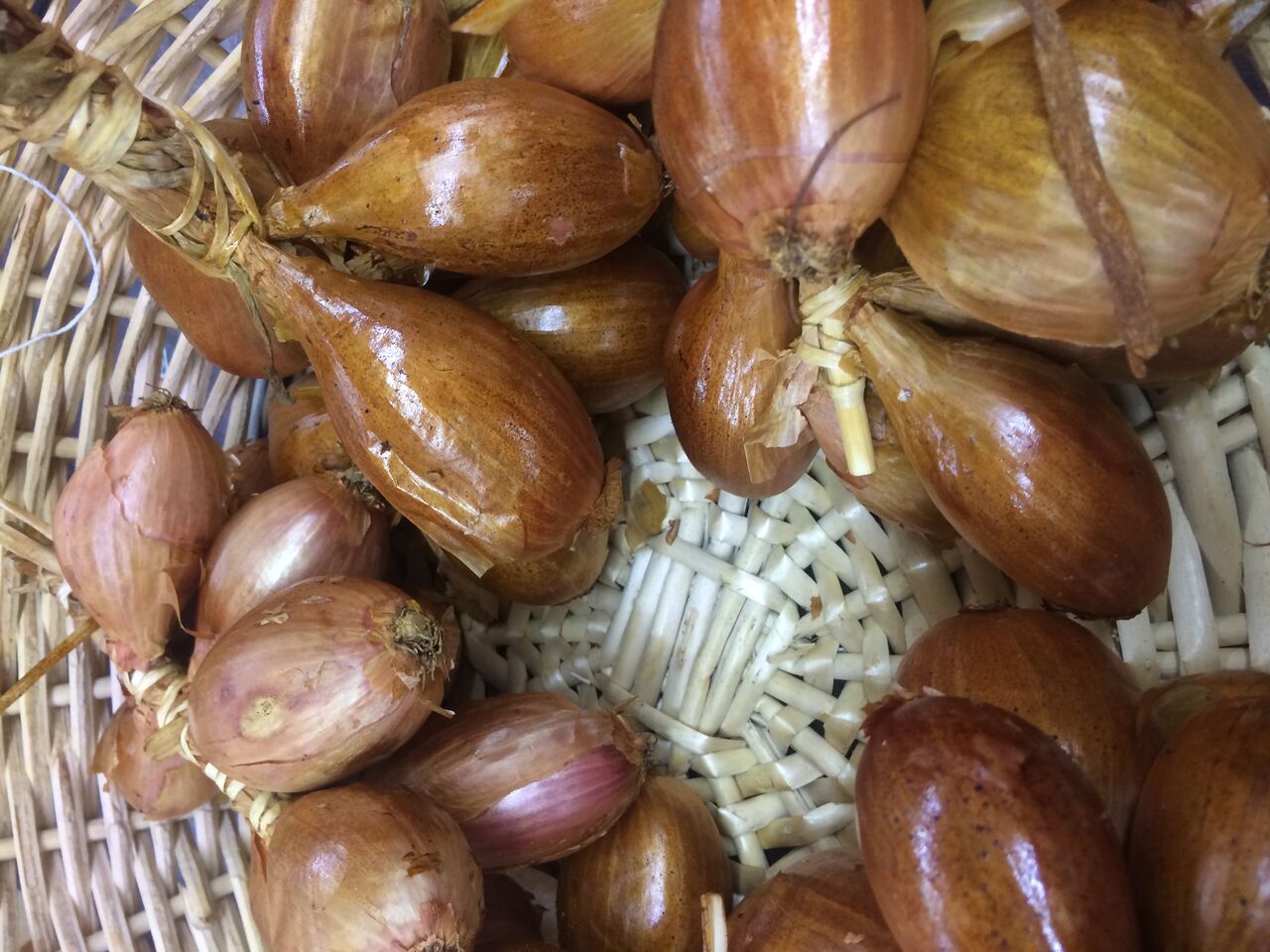 Découvrez nos produits fumés en direct d’Arleux