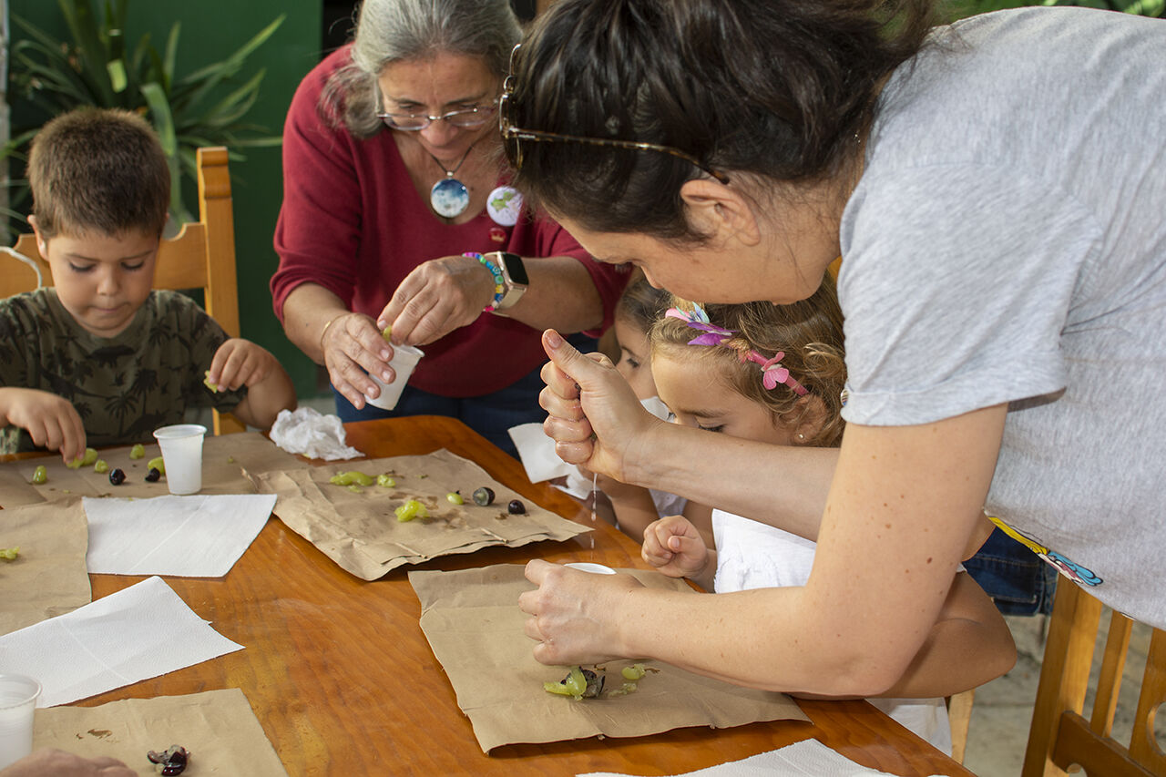 Taller del mosto en Viña la Constancia