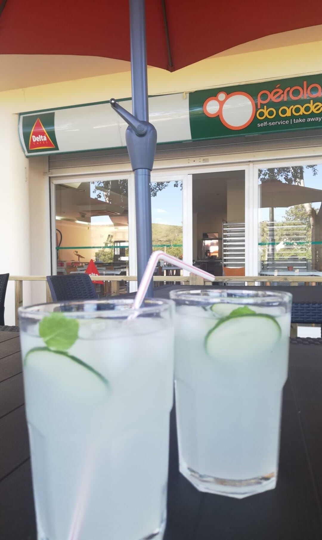 Beba a mais refrescante limonada com erva santa.