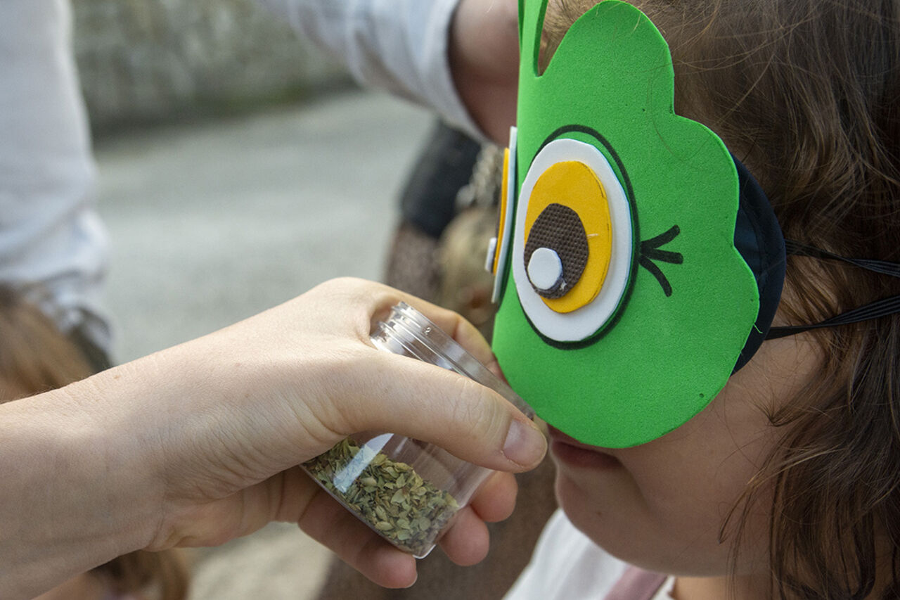 TALLER DE LOS AROMAS