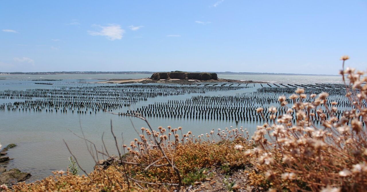 La Pointe du Bile - site exceptionnel.