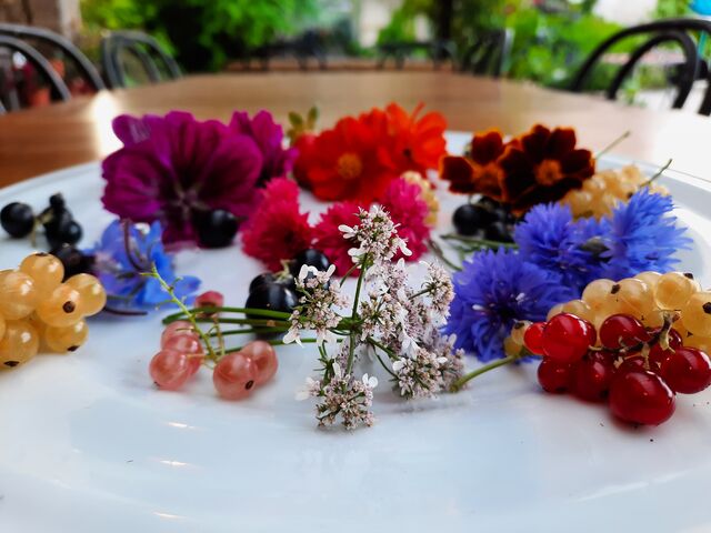 Nos fleurs comestibles 