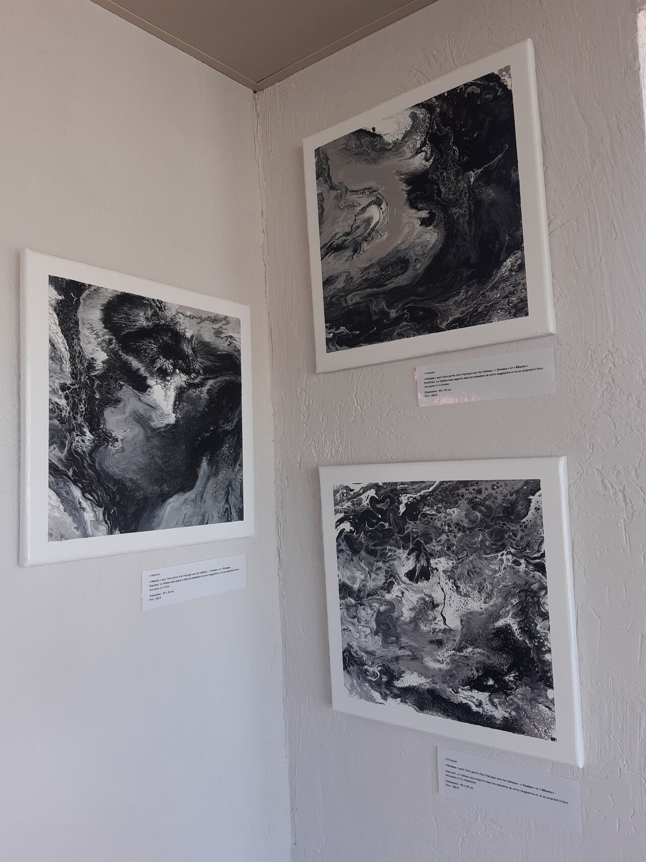 Salle 300, Tableau de VANINA CROMBEZ, Artiste Peintre