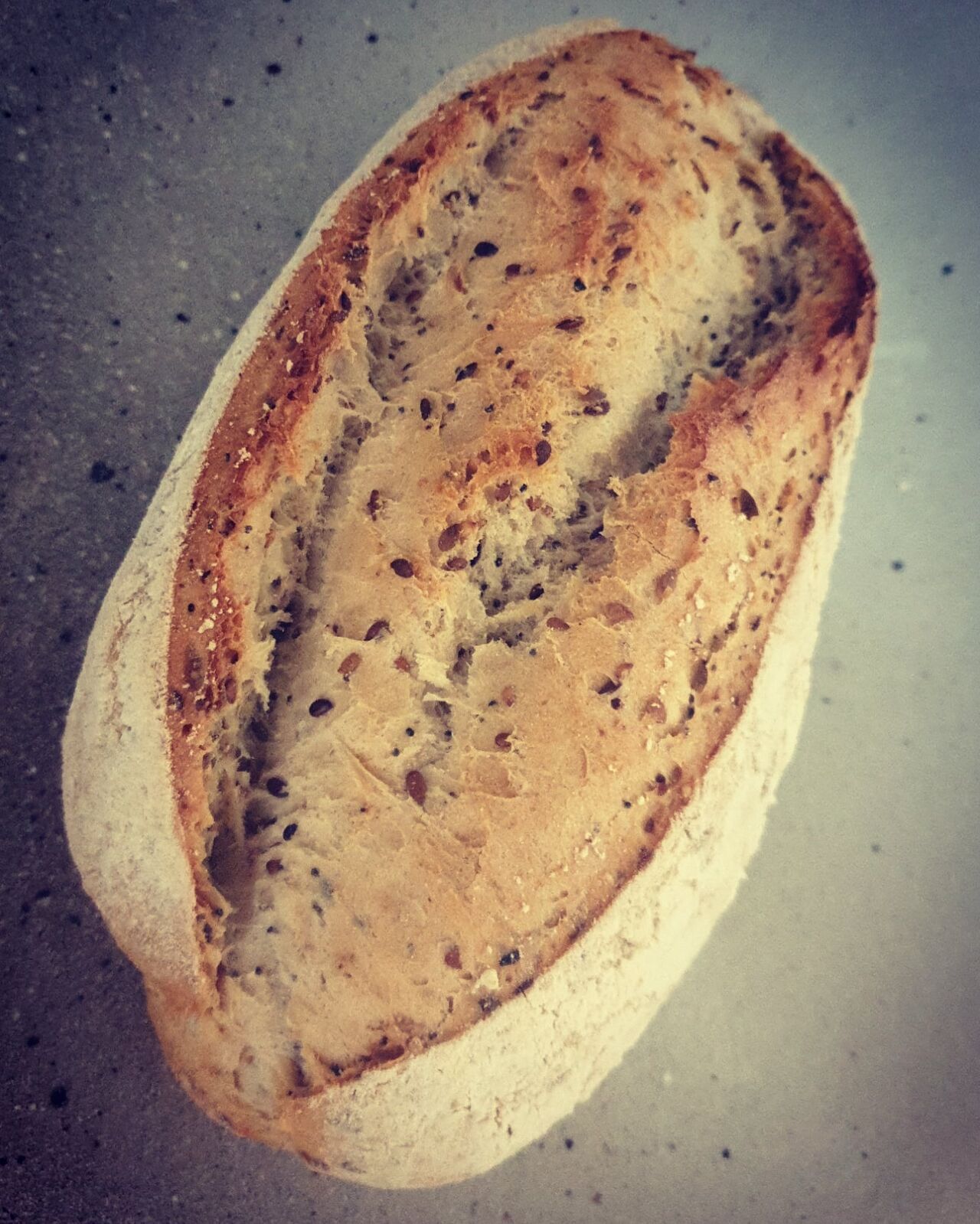 La Tradi aux Graines Bien Chaude !! Un Délice a déguster sans attendre