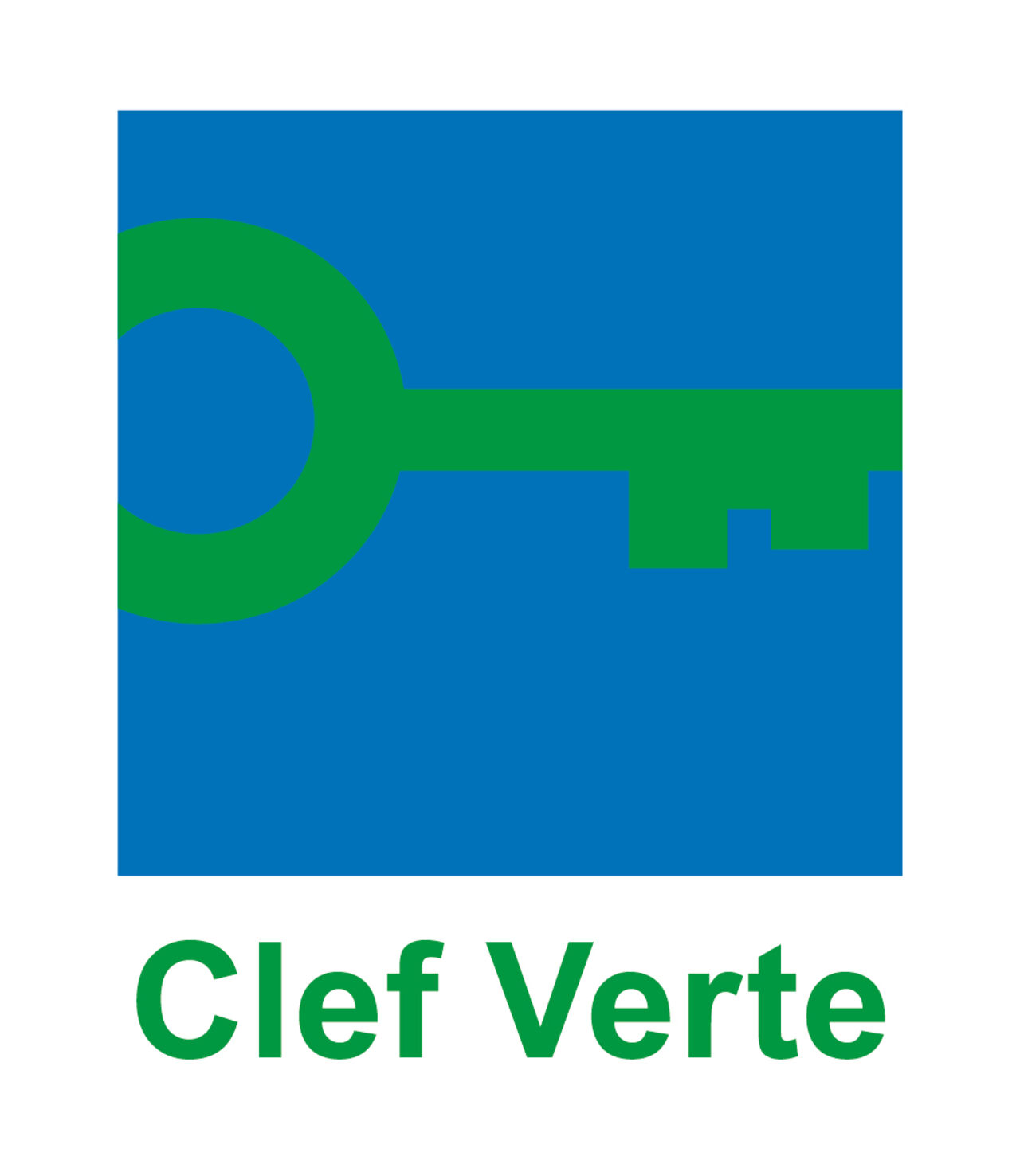 CLEF VERT