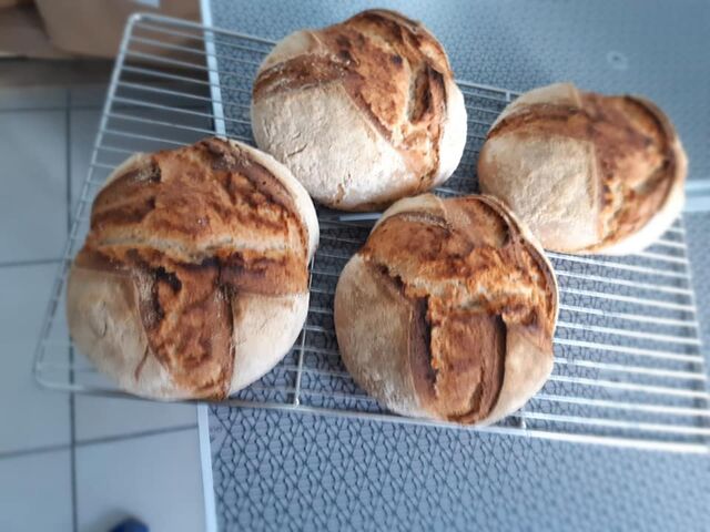 Pain de Campagne (80% T0 et 20% Seigle)