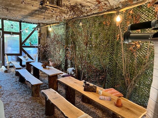 in unserem Wald sitzt man zwischen Reh und Wildschwein 