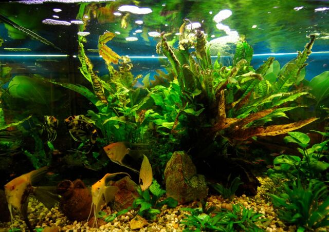 Hotel Da Rita. Dettaglio dell'interno