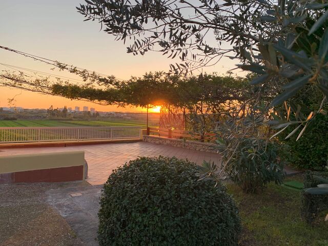 La terrazza coperta dal glicine.