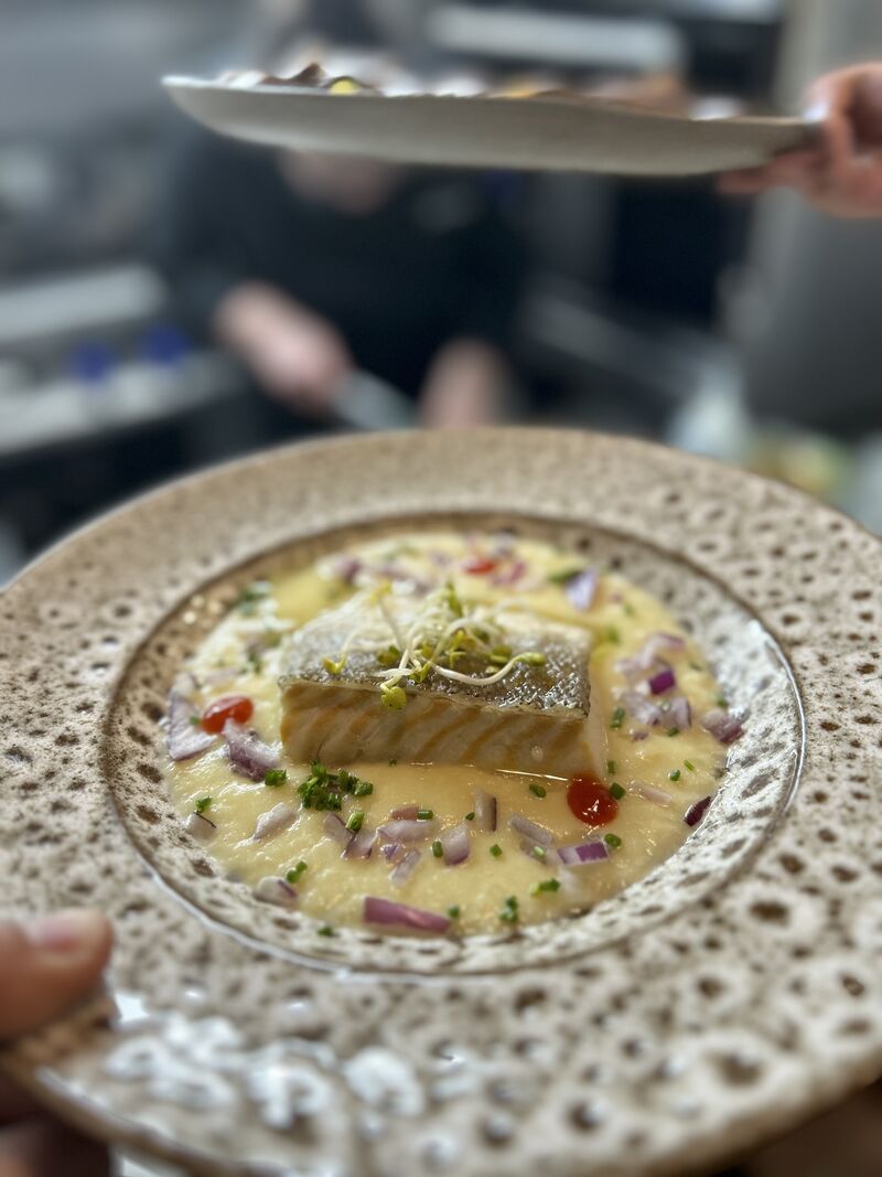 BACALAO Y VICHYSSOISE