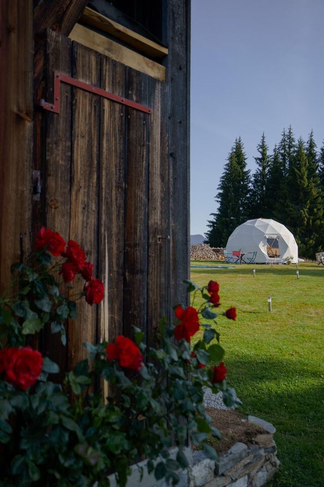 Le dôme vu du jardin.