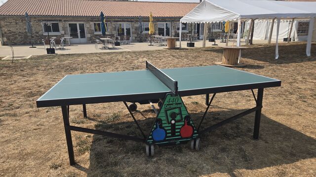 Table de ping-pong