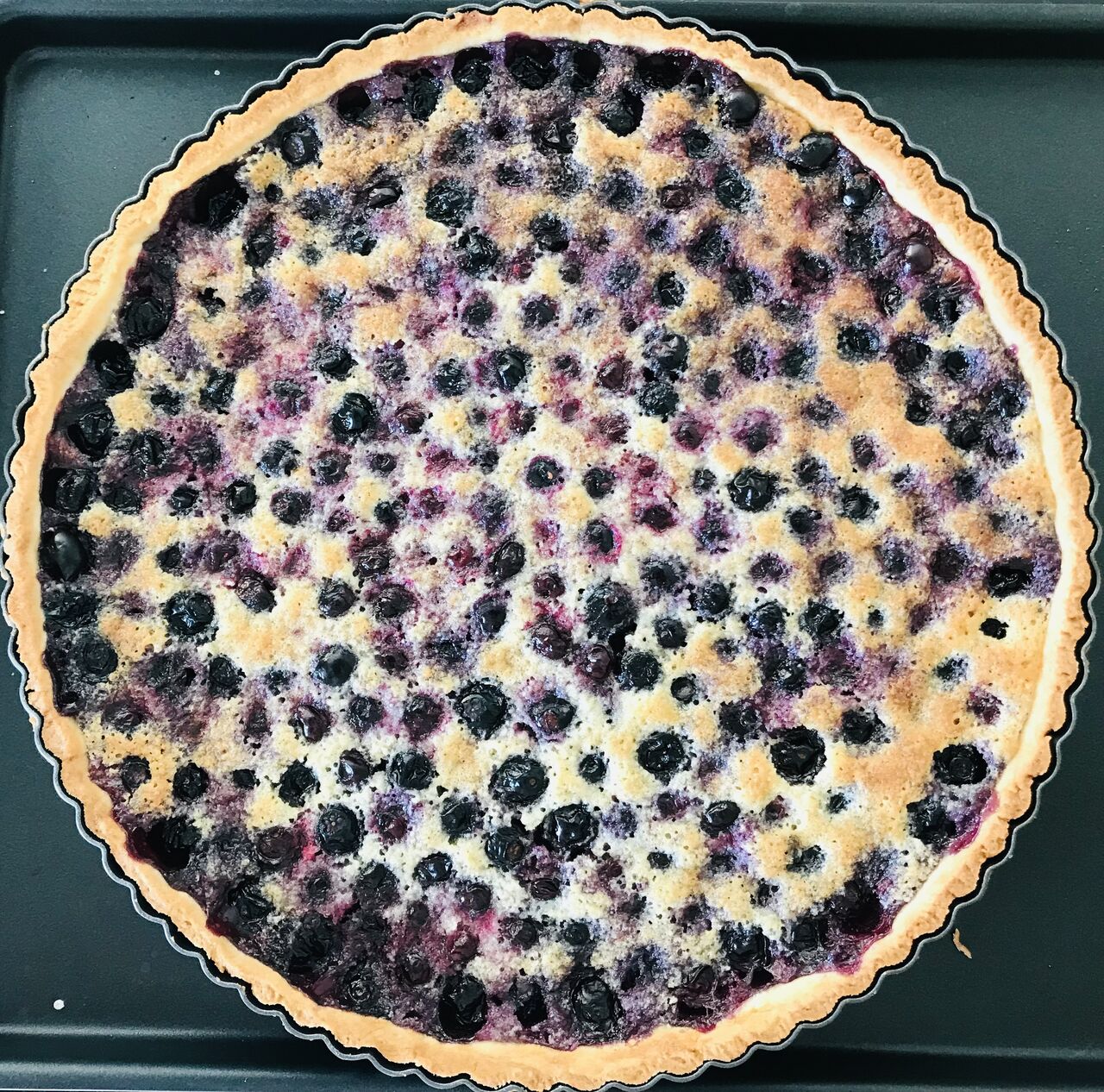 Tarte aux myrtilles