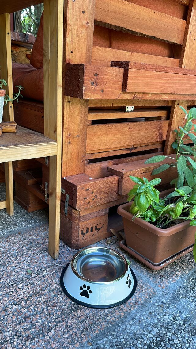 Per i nostri amici animali……