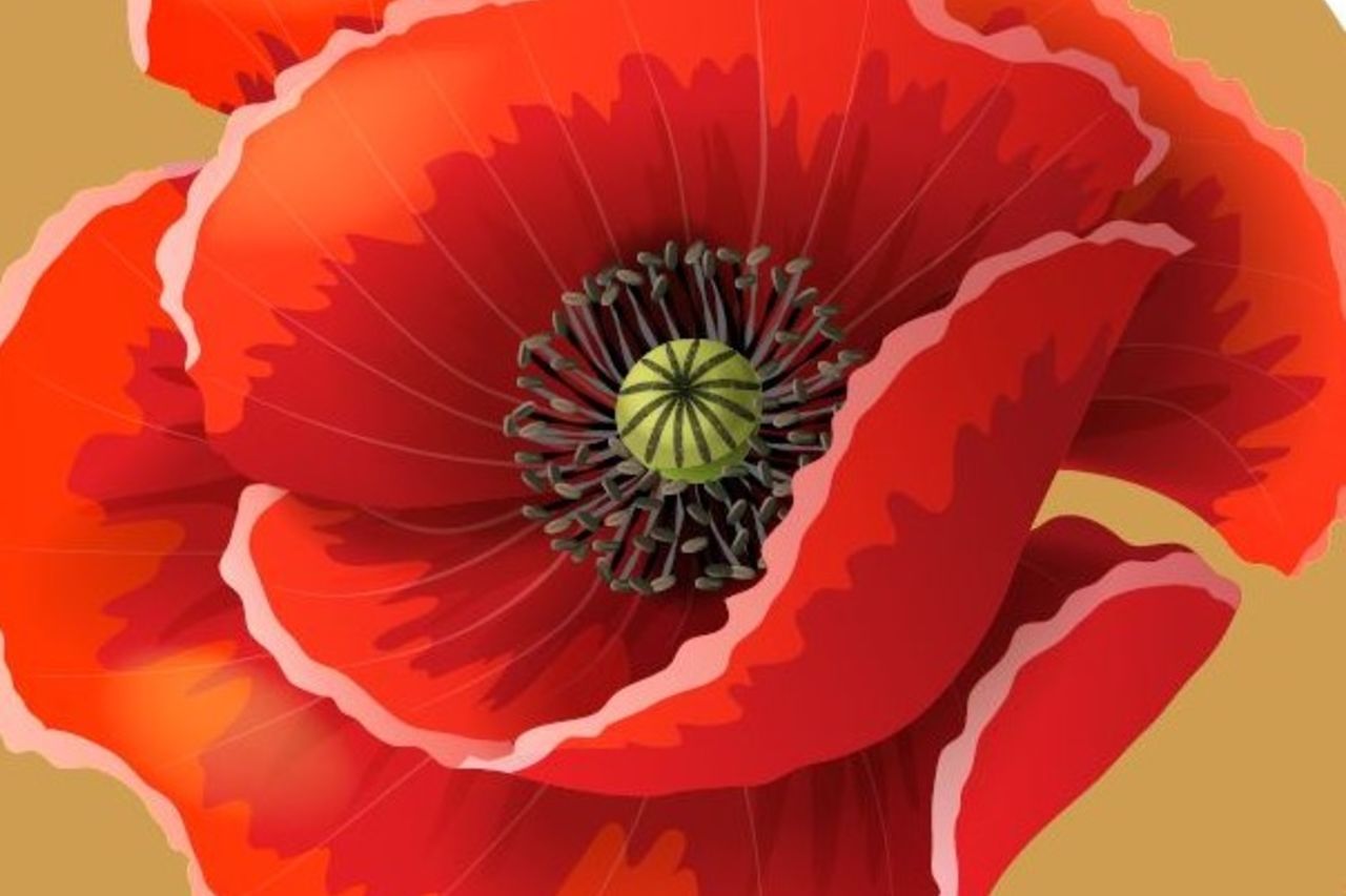 que trouve-t-on chez nous?