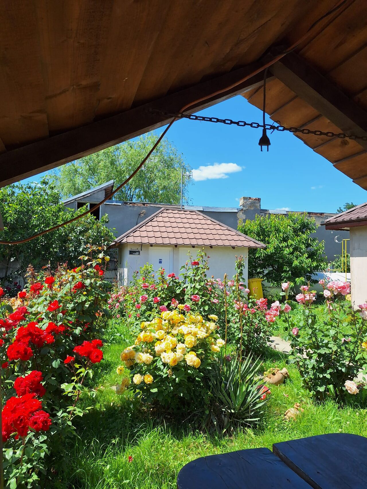 Ospitalitatea Românească