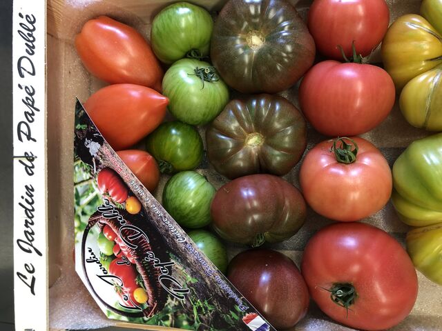 Tomates producteur local